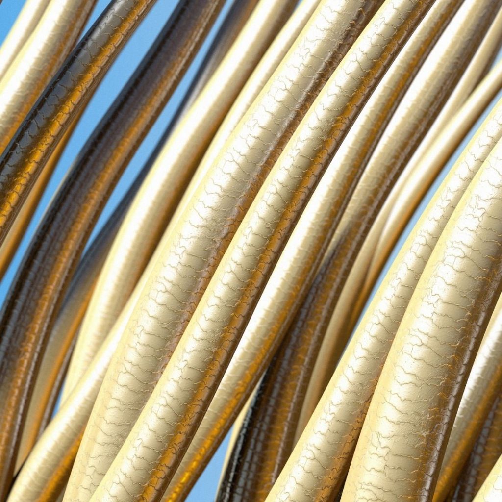 cheveux au microscope