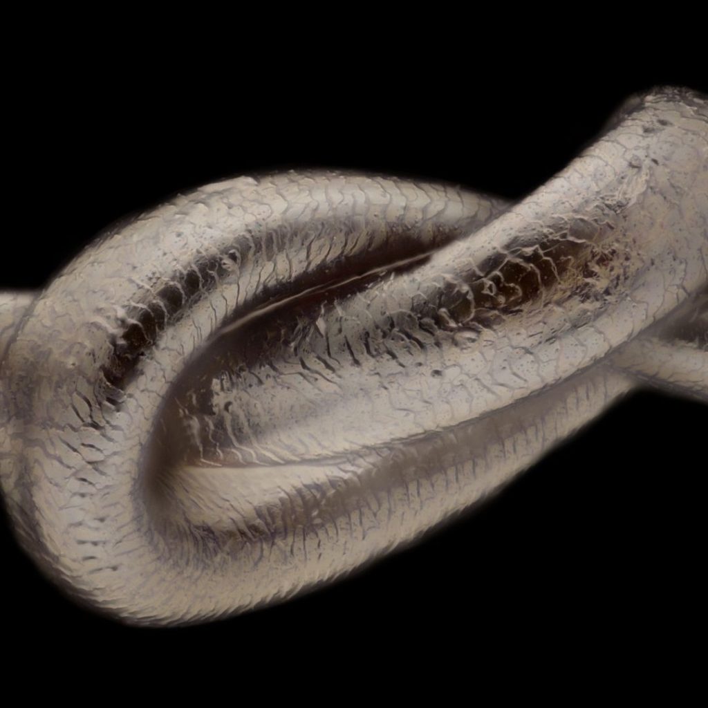 cheveux au microscope