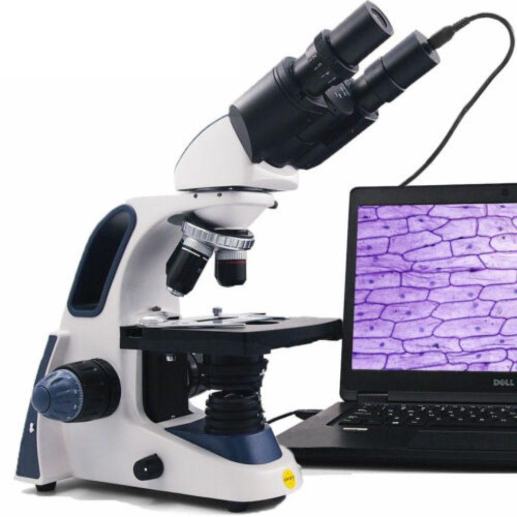 Caméra USB sur l'oculaire de microscope