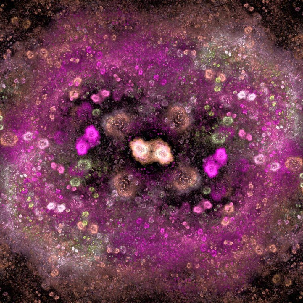 image prise au microscope optique