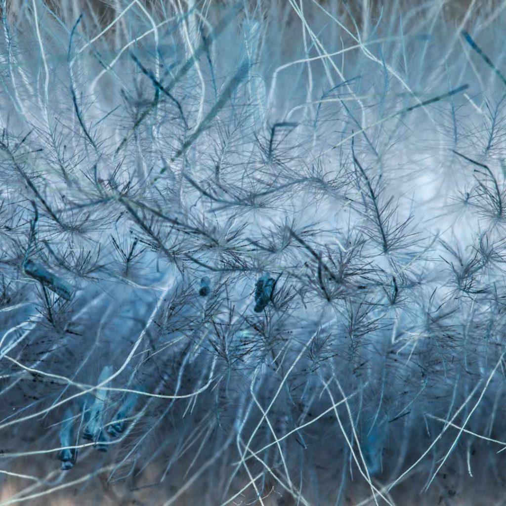 echelle nano abstrait