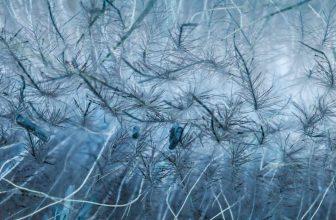 echelle nano abstrait