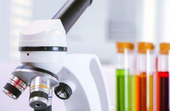 Quels sont les différents types de microscopes ?