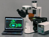 Notre avis sur l&rsquo;AmScope IN300TC–FL : un microscope inversé à fluorescence très haut de gamme
