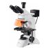 Notre avis sur le microscope AmScope T490A