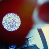 Les erreurs courantes en microscopie : comment les éviter