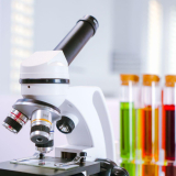 Quels sont les différents types de microscopes ? comparatif et avis en 2024